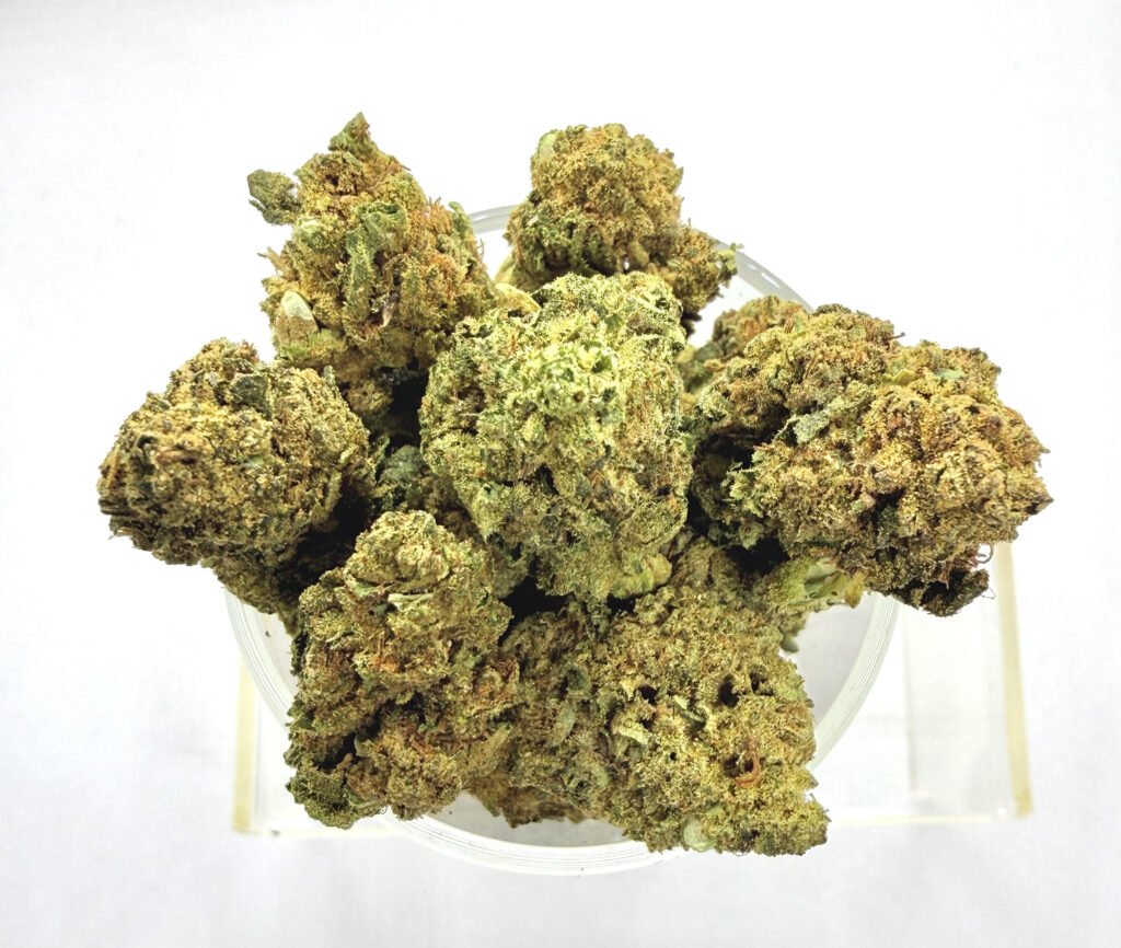 Gelato