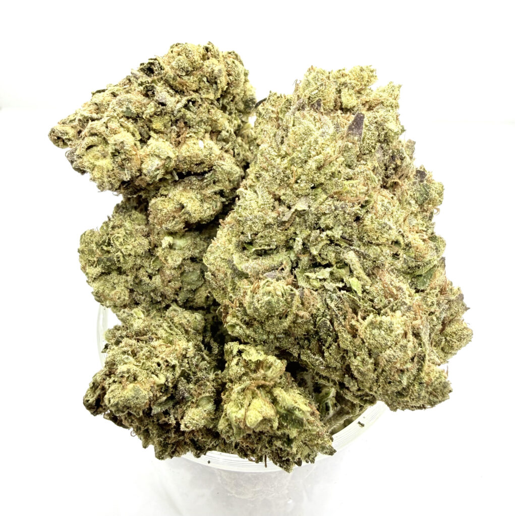 Lemon Cherry Gelato